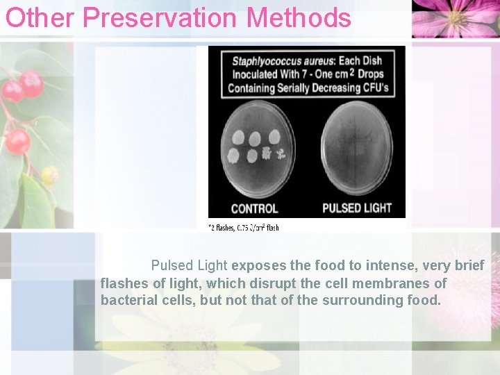 Other Preservation Methods Pulsed Light exposes the food to intense, very brief flashes of