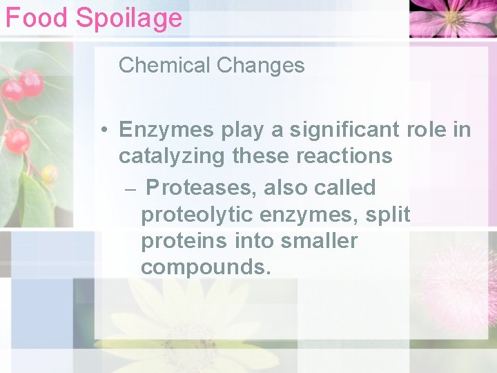 Food Spoilage Chemical Changes • Enzymes play a significant role in catalyzing these reactions
