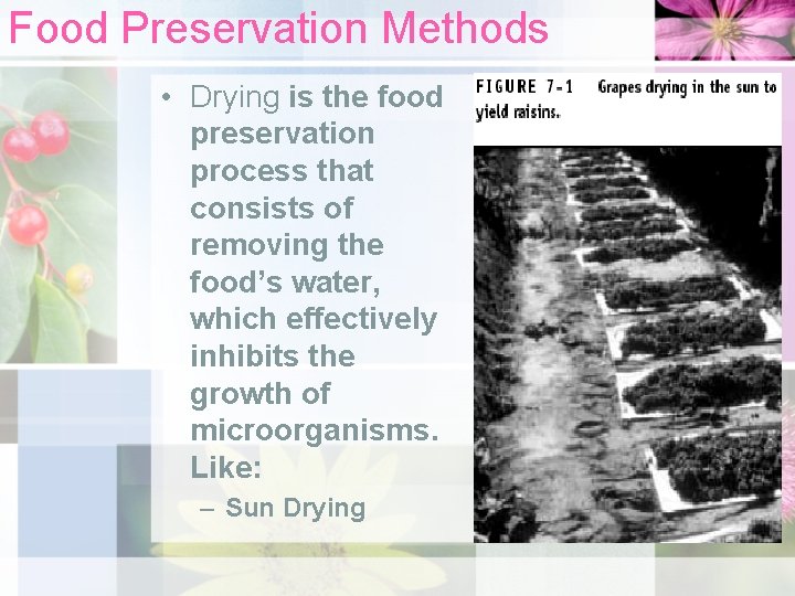Food Preservation Methods • Drying is the food preservation process that consists of removing