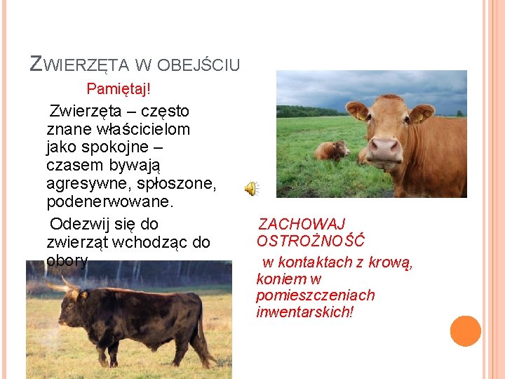 ZWIERZĘTA W OBEJŚCIU Pamiętaj! Zwierzęta – często znane właścicielom jako spokojne – czasem bywają