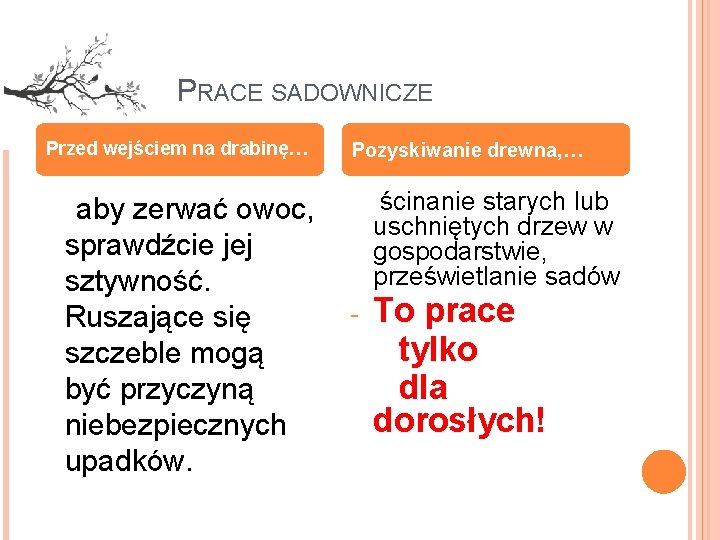 PRACE SADOWNICZE Przed wejściem na drabinę… aby zerwać owoc, sprawdźcie jej sztywność. Ruszające się