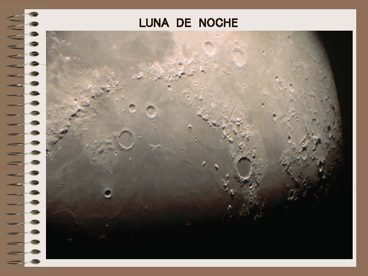 LUNA DE NOCHE 