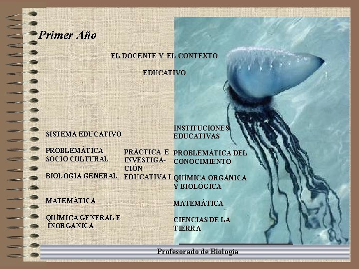 Primer Año EL DOCENTE Y EL CONTEXTO EDUCATIVO INSTITUCIONES EDUCATIVAS PRÁCTICA E PROBLEMÁTICA DEL