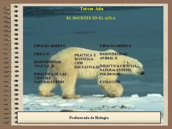 Tercer Año EL DOCENTE EN EL AULA ESPACIO ABIERTO FISICA II BIODIVERSIDAD VEGETAL II