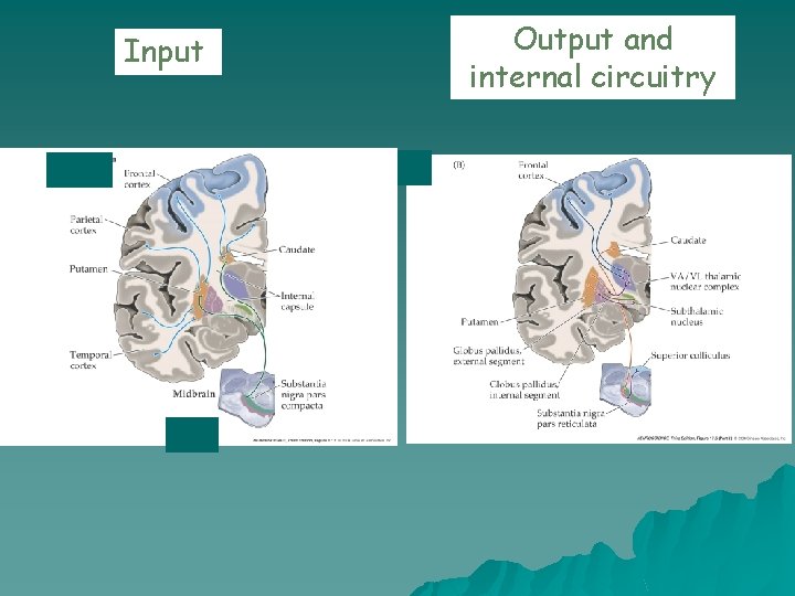 Input Output and internal circuitry 