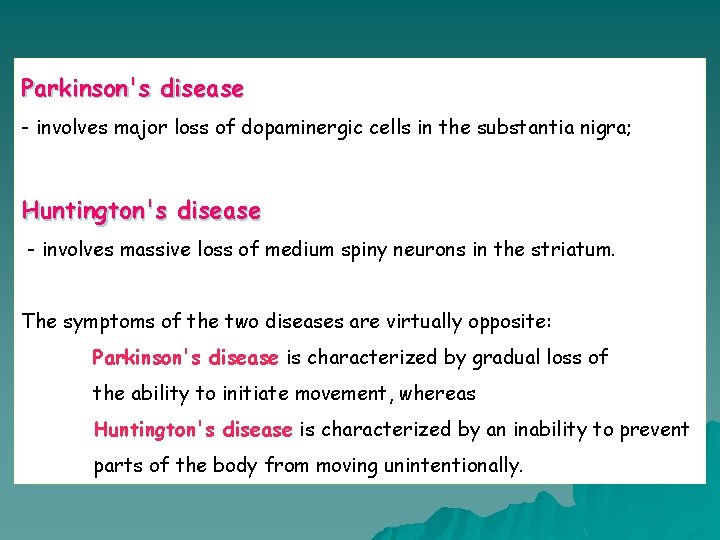 Parkinson's disease - involves major loss of dopaminergic cells in the substantia nigra; Huntington's