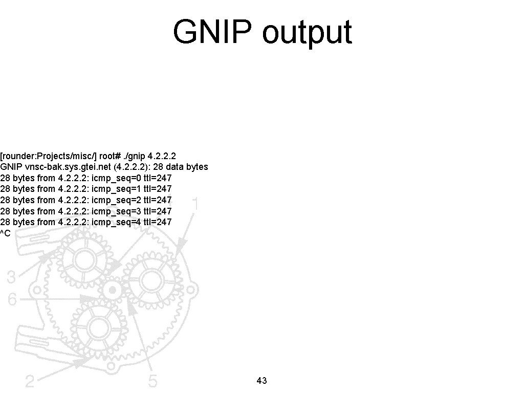 GNIP output [rounder: Projects/misc/] root#. /gnip 4. 2. 2. 2 GNIP vnsc-bak. sys. gtei.