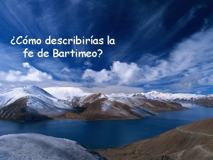 ¿Cómo describirías la fe de Bartimeo? 