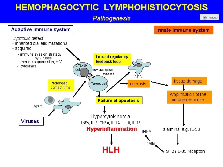 HEMOPHAGOCYTIC LYMPHOHISTIOCYTOSIS Pathogenesis Adaptive immune system Innate immune system Cytotoxic defect - inherited biallelic