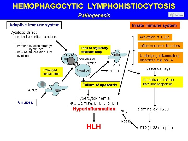 HEMOPHAGOCYTIC LYMPHOHISTIOCYTOSIS Pathogenesis Adaptive immune system Innate immune system Cytotoxic defect - inherited biallelic