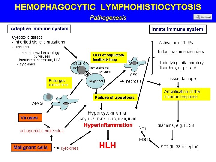 HEMOPHAGOCYTIC LYMPHOHISTIOCYTOSIS Pathogenesis Adaptive immune system Innate immune system Cytotoxic defect - inherited biallelic