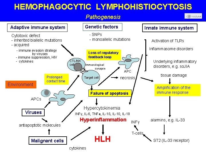 HEMOPHAGOCYTIC LYMPHOHISTIOCYTOSIS Pathogenesis Genetic factors Adaptive immune system - SNPs Cytotoxic defect - inherited