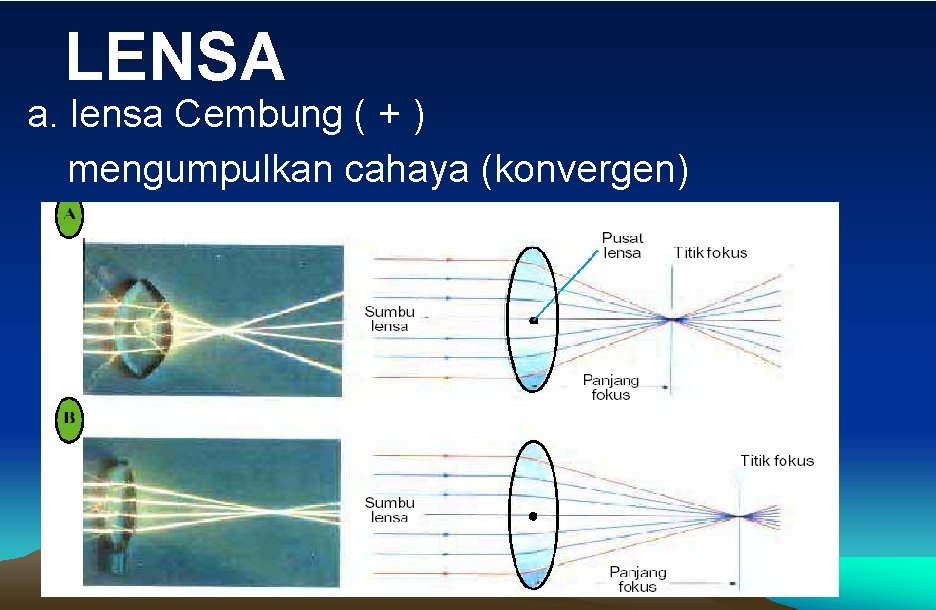 LENSA a. lensa Cembung ( + ) mengumpulkan cahaya (konvergen) 