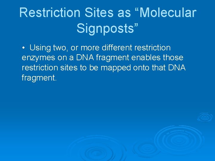Restriction Sites as “Molecular Signposts” • Using two, or more different restriction enzymes on