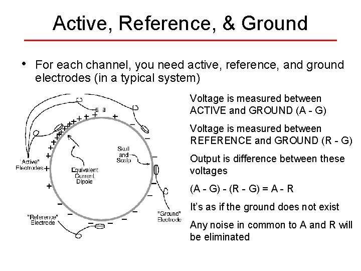 Active, Reference, & Ground • For each channel, you need active, reference, and ground