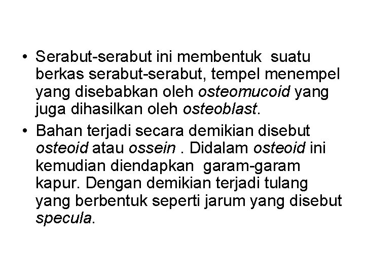  • Serabut-serabut ini membentuk suatu berkas serabut-serabut, tempel menempel yang disebabkan oleh osteomucoid