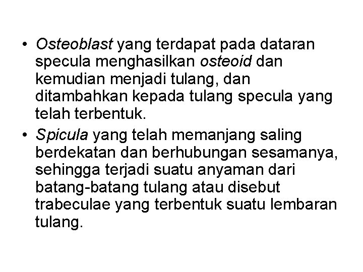  • Osteoblast yang terdapat pada dataran specula menghasilkan osteoid dan kemudian menjadi tulang,