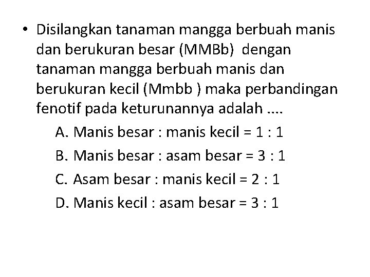  • Disilangkan tanaman mangga berbuah manis dan berukuran besar (MMBb) dengan tanaman mangga