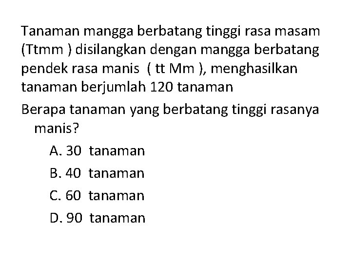 Tanaman mangga berbatang tinggi rasa masam (Ttmm ) disilangkan dengan mangga berbatang pendek rasa