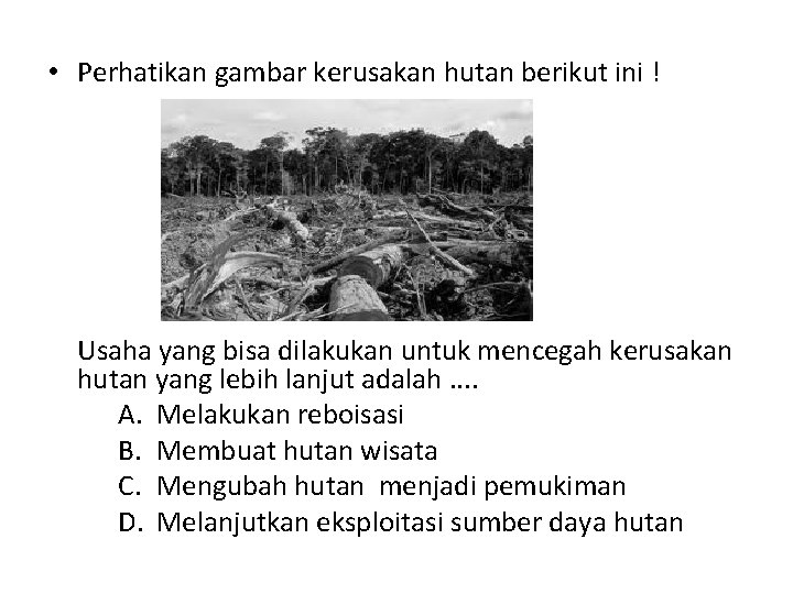  • Perhatikan gambar kerusakan hutan berikut ini ! Usaha yang bisa dilakukan untuk