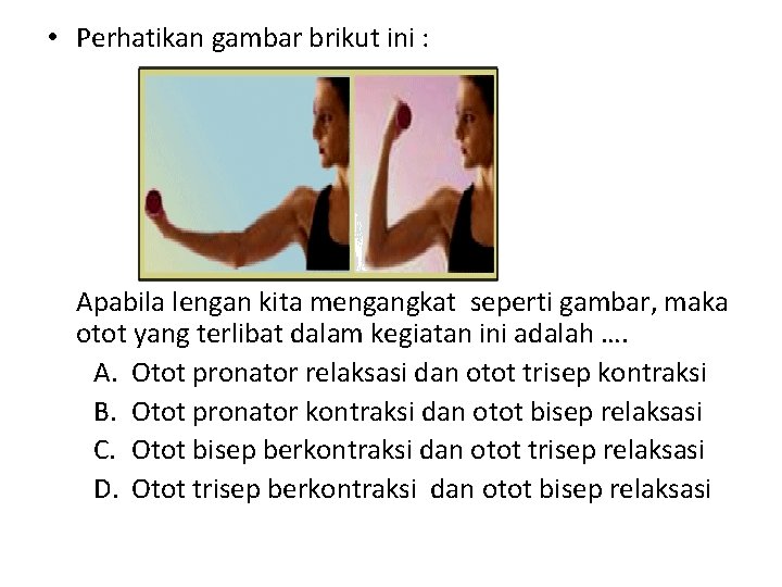  • Perhatikan gambar brikut ini : Apabila lengan kita mengangkat seperti gambar, maka