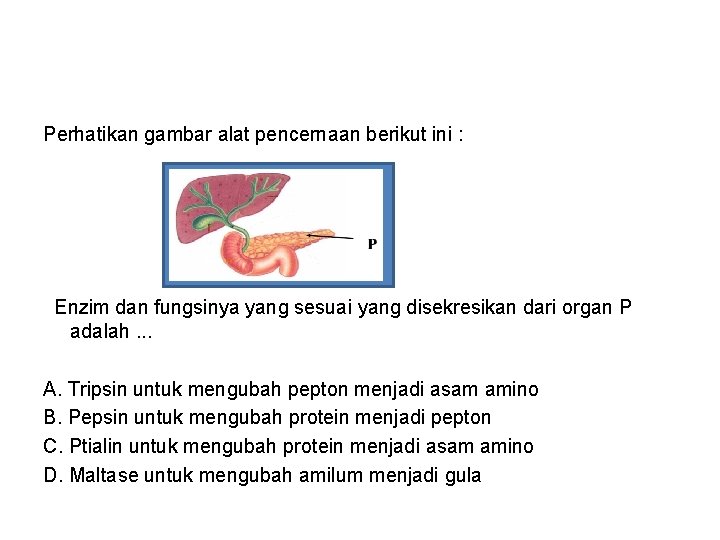 Perhatikan gambar alat pencernaan berikut ini : Enzim dan fungsinya yang sesuai yang disekresikan