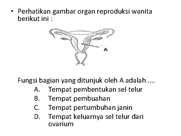  • Perhatikan gambar organ reproduksi wanita berikut ini : Fungsi bagian yang ditunjuk