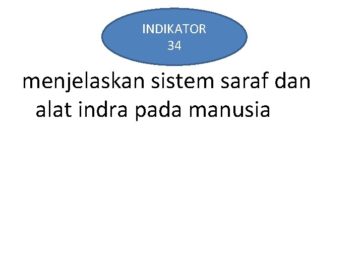 INDIKATOR 34 menjelaskan sistem saraf dan alat indra pada manusia 