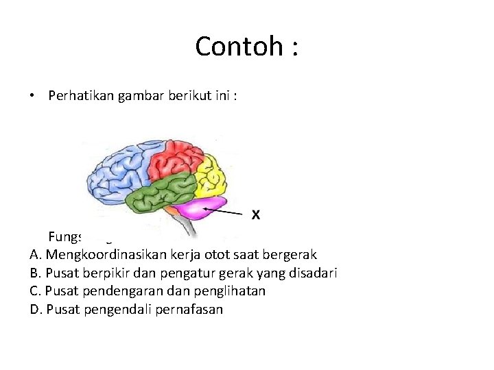 Contoh : • Perhatikan gambar berikut ini : Fungsi bagian X adalah …. A.