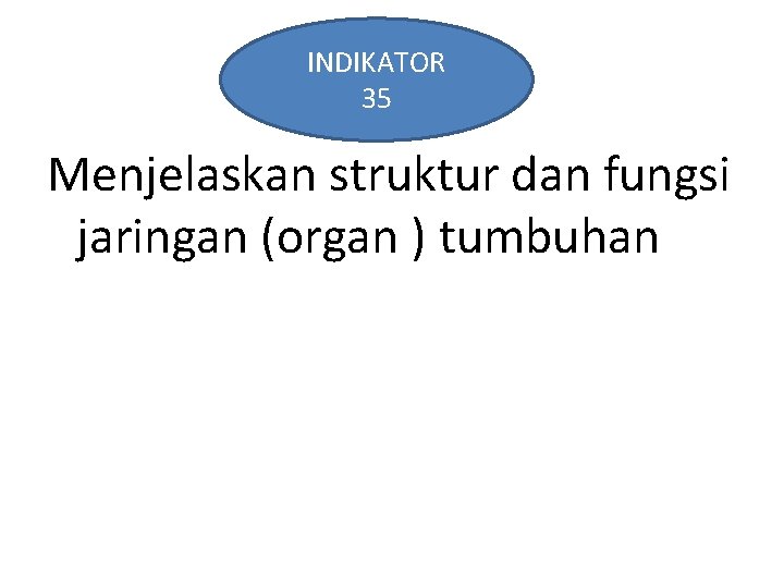 INDIKATOR 35 Menjelaskan struktur dan fungsi jaringan (organ ) tumbuhan 