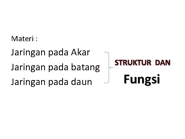 Materi : Jaringan pada Akar Jaringan pada batang Jaringan pada daun STRUKTUR DAN Fungsi