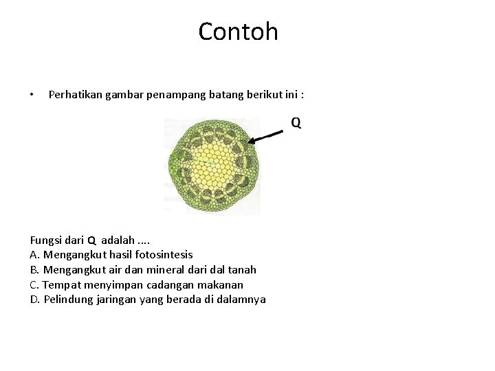 Contoh • Perhatikan gambar penampang batang berikut ini : Fungsi dari Q adalah. .