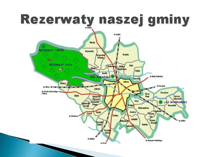 Rezerwaty naszej gminy 