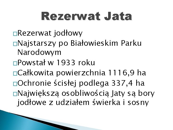 Rezerwat Jata �Rezerwat jodłowy �Najstarszy po Białowieskim Parku Narodowym �Powstał w 1933 roku �Całkowita