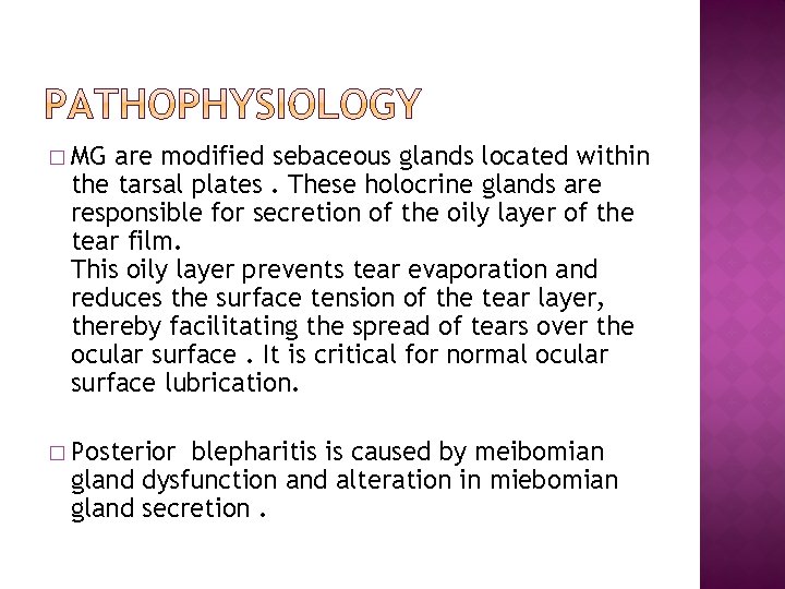 � MG are modified sebaceous glands located within the tarsal plates. These holocrine glands
