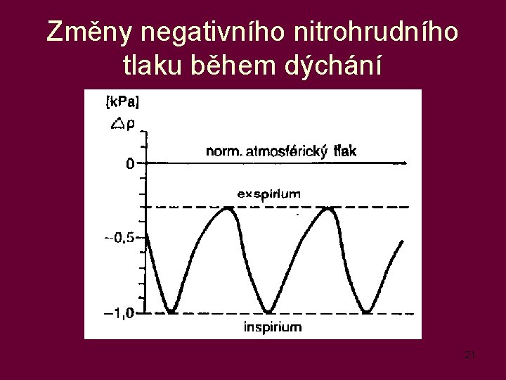 Změny negativního nitrohrudního tlaku během dýchání 21 