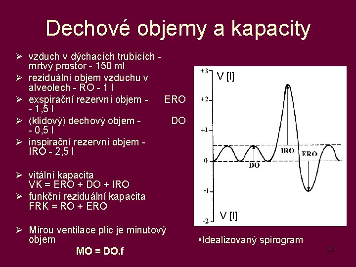 Dechové objemy a kapacity Ø vzduch v dýchacích trubicích mrtvý prostor - 150 ml