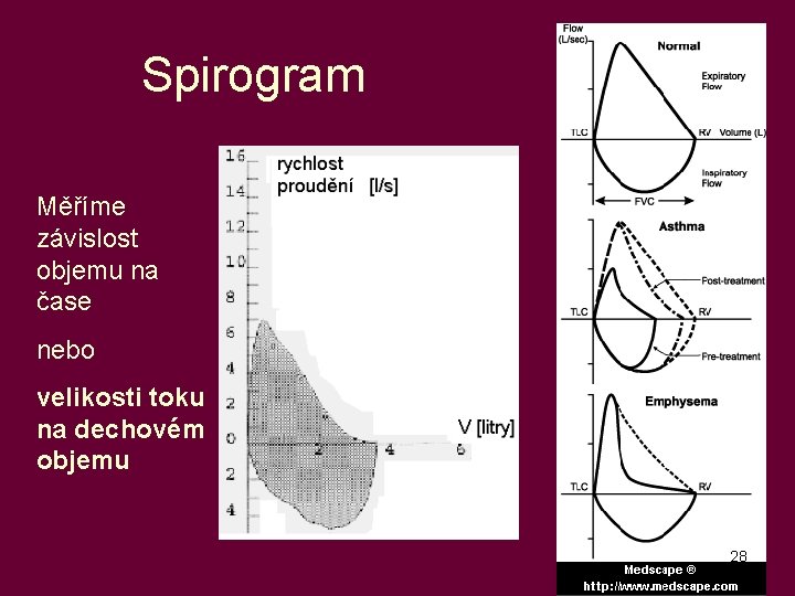 Spirogram Měříme závislost objemu na čase nebo velikosti toku na dechovém objemu 28 