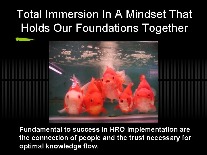 Total Immersion In A Mindset That Holds Our Foundations Together Fundamental to success in