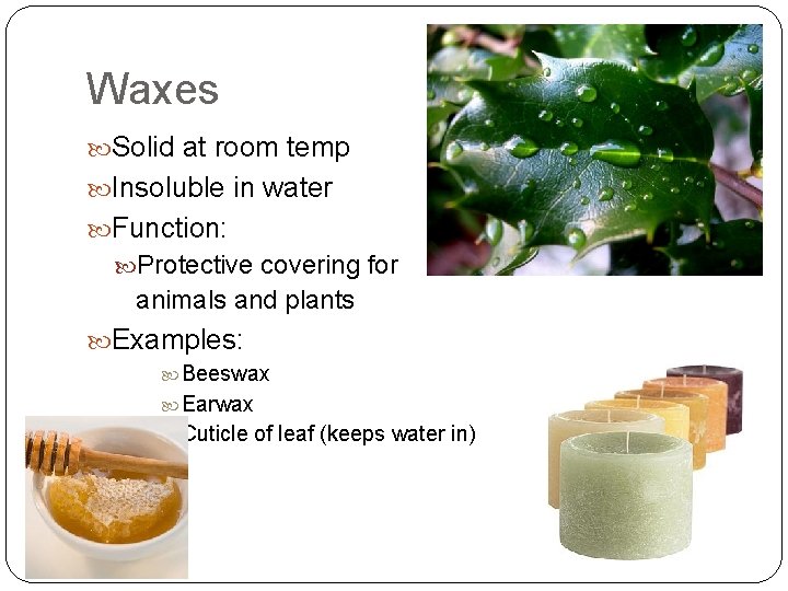 Waxes Solid at room temp Insoluble in water Function: Protective covering for animals and Waxes Solid at room temp Insoluble in water Function: Protective covering for animals and