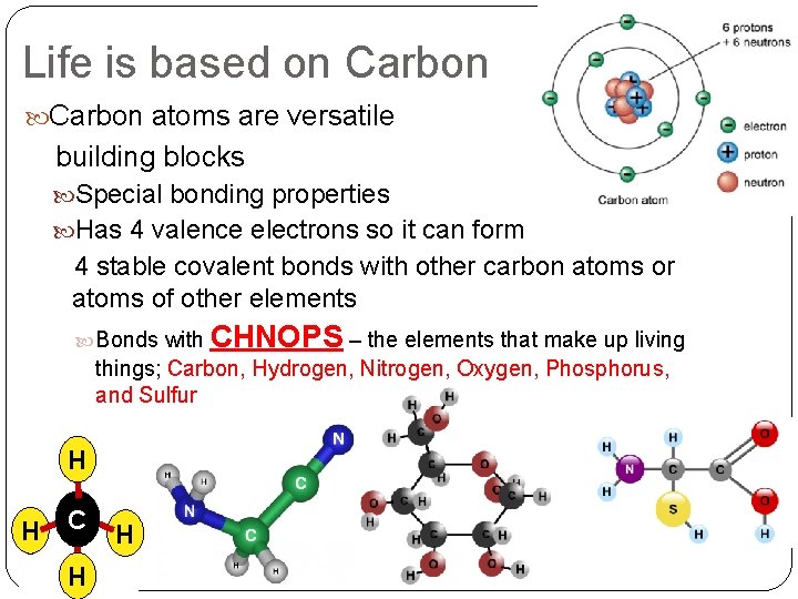 Life is based on Carbon atoms are versatile building blocks Special bonding properties Has Life is based on Carbon atoms are versatile building blocks Special bonding properties Has