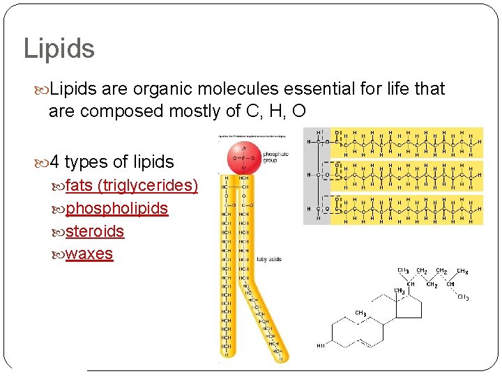 Lipids are organic molecules essential for life that are composed mostly of C, H, Lipids are organic molecules essential for life that are composed mostly of C, H,