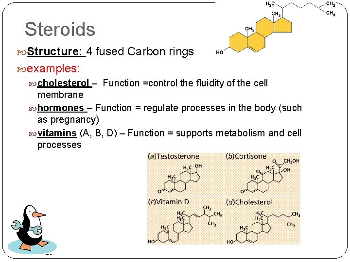 Steroids Structure: 4 fused Carbon rings examples: cholesterol – Function =control the fluidity of Steroids Structure: 4 fused Carbon rings examples: cholesterol – Function =control the fluidity of