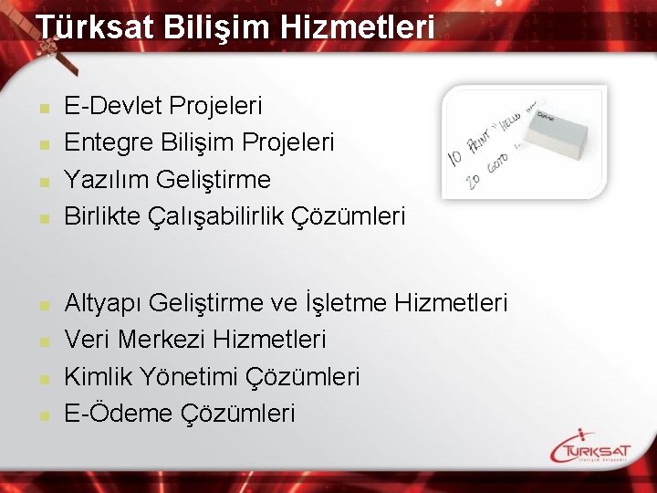 Türksat Bilişim Hizmetleri n n n n E-Devlet Projeleri Entegre Bilişim Projeleri Yazılım Geliştirme