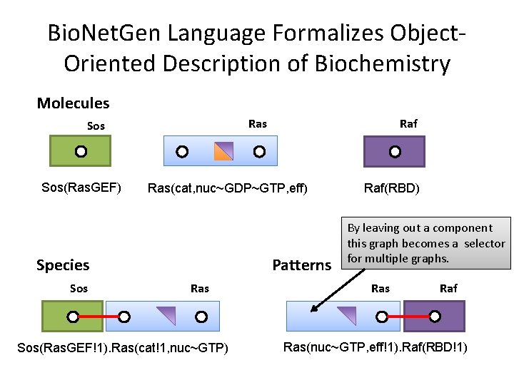 Bio. Net. Gen Language Formalizes Object. Oriented Description of Biochemistry Molecules Ras Sos(Ras. GEF)