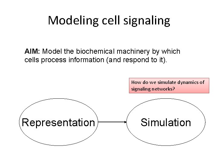 Modeling cell signaling AIM: Model the biochemical machinery by which cells process information (and