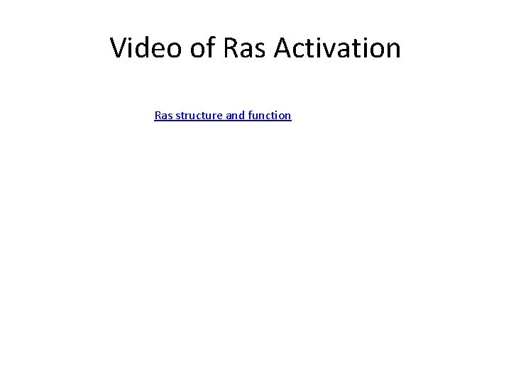 Video of Ras Activation Ras structure and function 