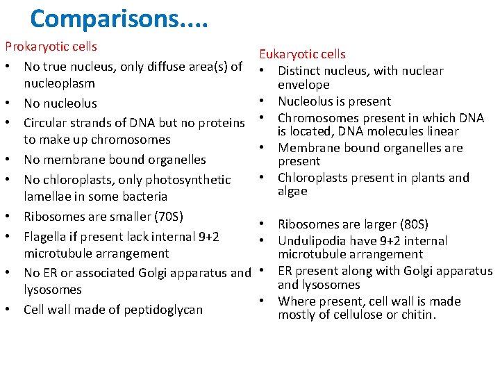 Comparisons. . Prokaryotic cells • No true nucleus, only diffuse area(s) of nucleoplasm •