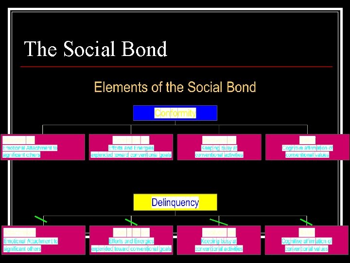 The Social Bond 