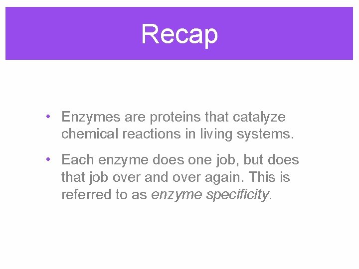 Recap • Enzymes are proteins that catalyze chemical reactions in living systems. • Each